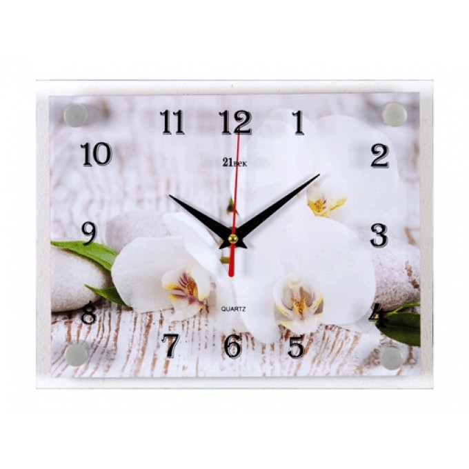 Часы Настенные РУБИН "21 Век" "Спа.Белые Орхидеи" 2026-113